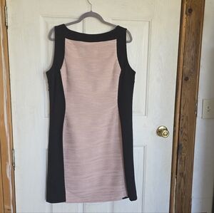 Dana Buchman Black and Blush Mini Dress